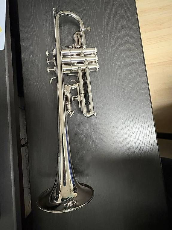 Strumenti musicali: C-Trompete Getzen Eterna (mit D-Trigger von Spada) – Usato da Zofingen venduto da Biker4800 2