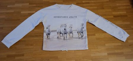 C&A Pulli 170cm Pferd mit Glitzerschrift