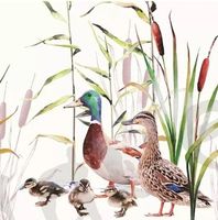 Serviette ducks couple (1591) 2Stk.