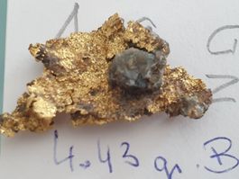 Gold Afrika Zimbawe Unikat Rarität Nugget