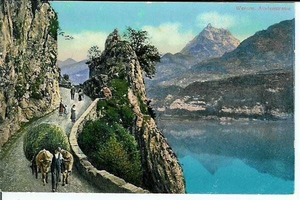 Ansichtskarten: Weesen SG Amden Ochsengespann Heufuder 1920 – Neu (gemäss Beschreibung) aus Ennetmoos von
