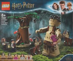 LEGO HARRY POTTER 75967 LA FORESTA PROIBITA L'INCONTRO CON L