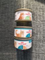 Royal Canin Katzenfutter 3 Dosen