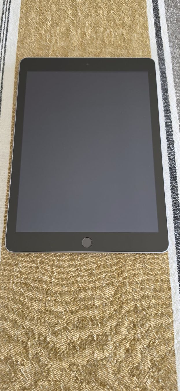 Apple Tablet PC: Apple iPad 9.7 | 5. Generation | 128GB | Space Grau – Gebraucht aus Beinwil am See von star_link