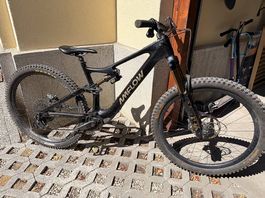 Amflow Carbon Pro aus erster Hand