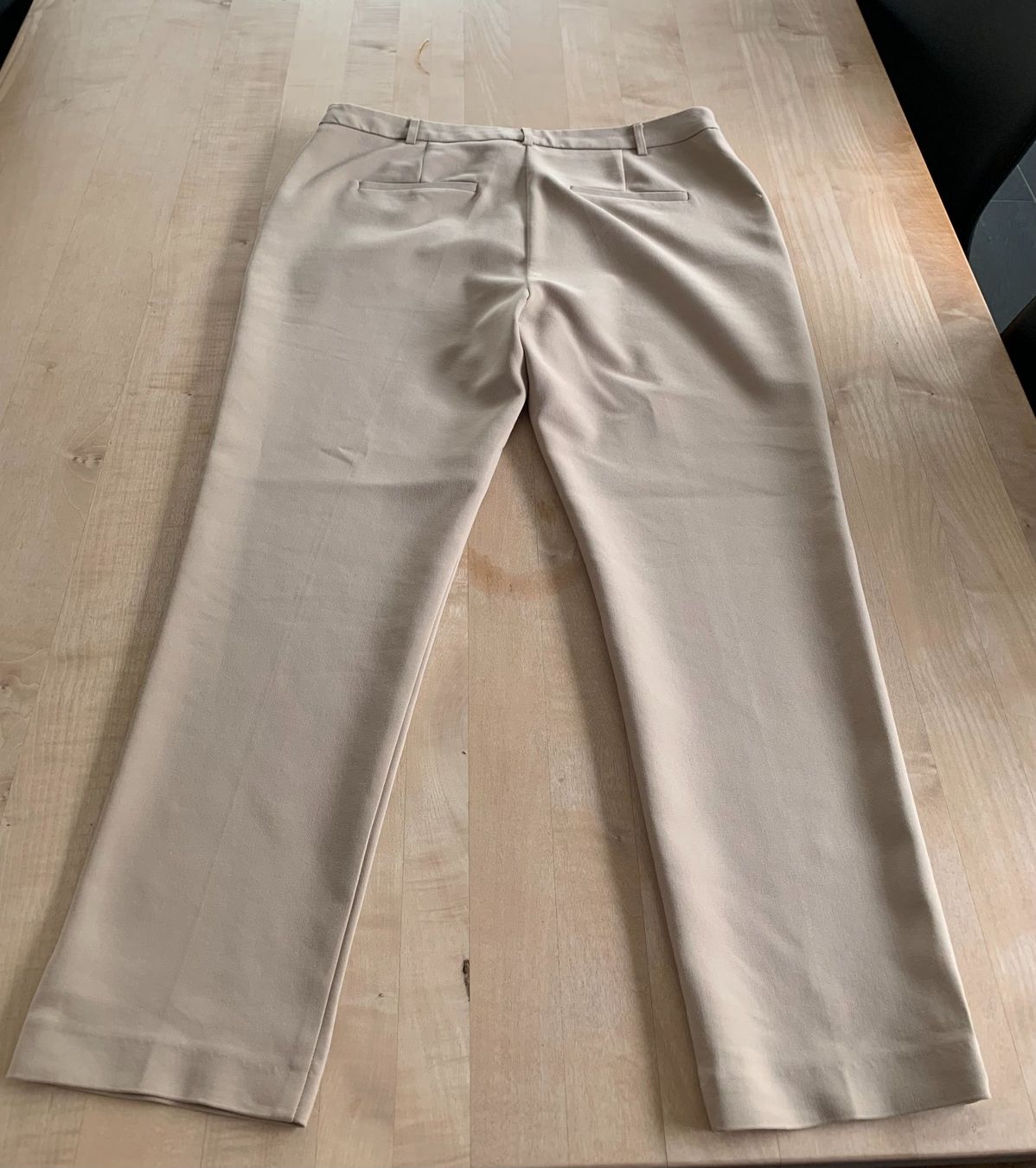 Pantaloni: Damenhose beige Gr.XL – Nuovo (secondo la descrizione) da Azmoos venduto da Verwir64 1