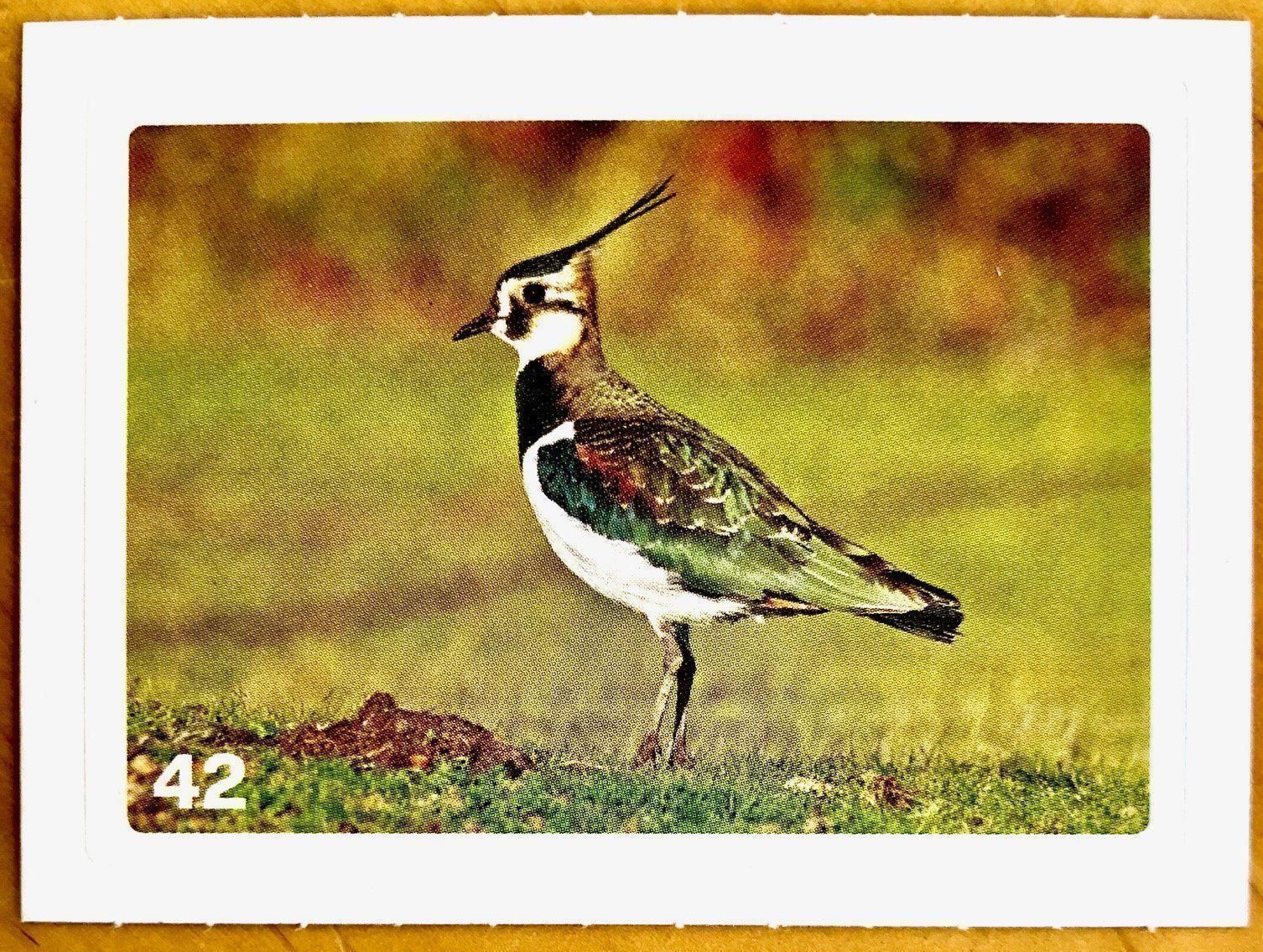 Migros Carte collezionabili: Migros Nature Detectives - Bild Nr. 42 – Nuovo (secondo la descrizione) da Oberrieden venduto da Zimmerberg10