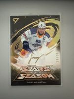 Sportzoo EVZ David Sklenicka Stars of the Season 26/30