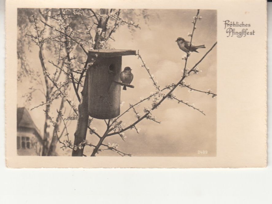 Cartoline postali: Fröhliches Pfingstfest ca. 1930 – Usato da Bürglen TG venduto da StampGraf