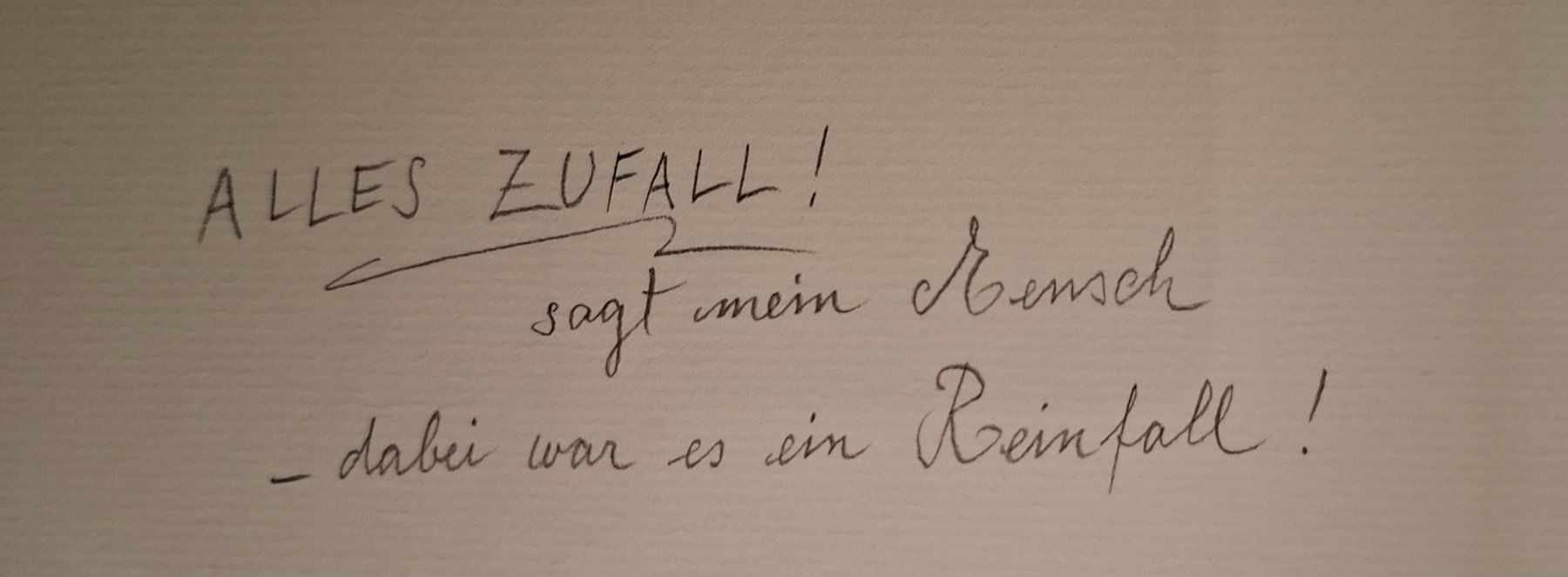 Gemälde: Hartmann Sven, Kater Jacob, Karikatur, Teich, Libellen – Gebraucht aus Herisau von Saentis1 2