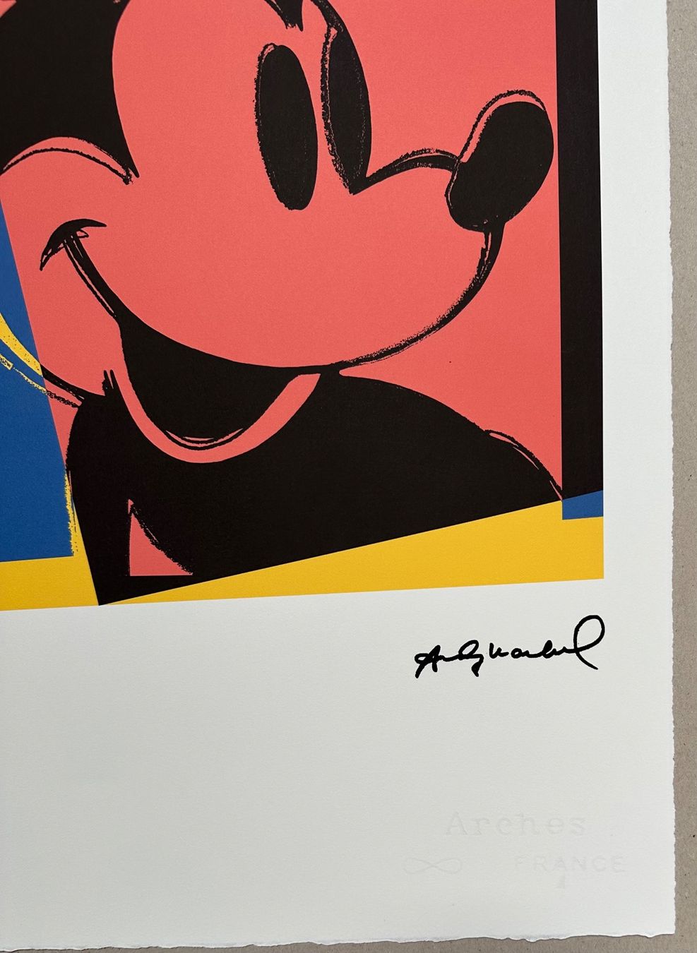 Dipinti: Andy Warhol: Mickey Mouse, POP Art 29/100 – Nuovo (secondo la descrizione) da Meilen venduto da Smgdesign 2