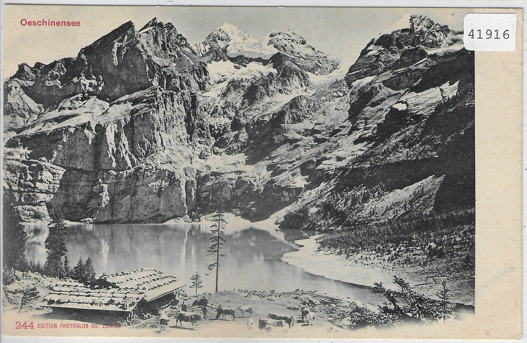 Cartoline postali: Oeschinensee mit Kühe – Usato da Ettingen venduto da Kartenplanet