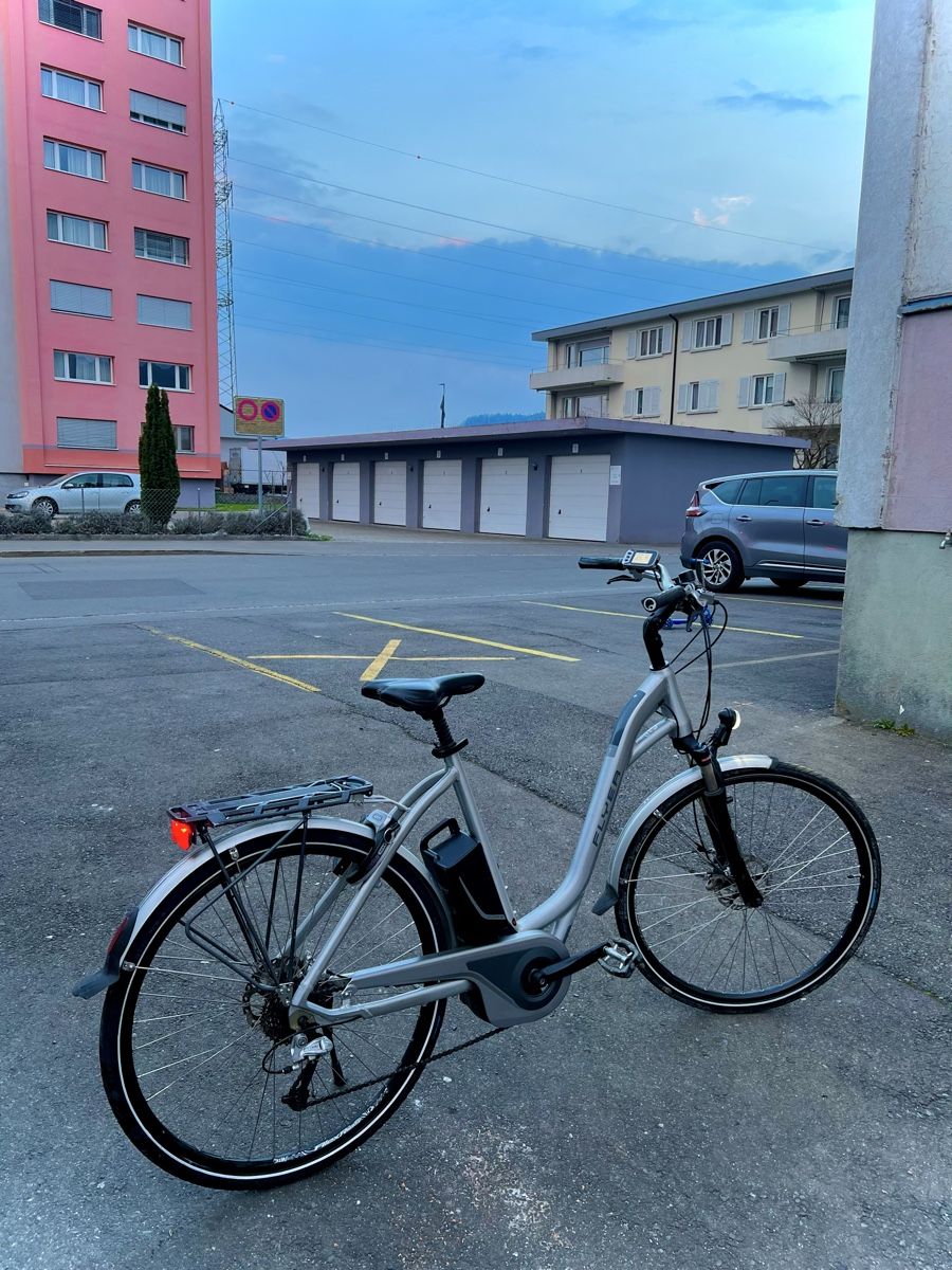 Flyer Velos: Flyer E-Bike - Top Zustand L – Gebraucht aus Bern von ser_7vtn 2