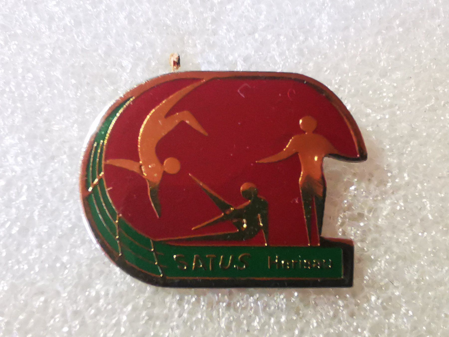 Placchette & Badge: Ansteckpin 101: Satus – Usato da Oppligen venduto da Pin-Fall-Shop
