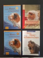 Meerschweinchen • 4 Ratgeber • 4 Bücher