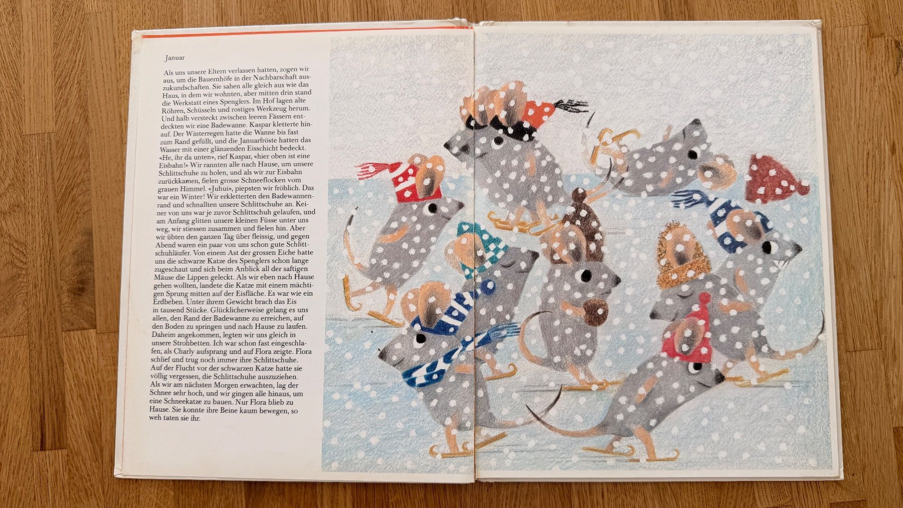 Libri: Buch - Das Jahr der Mäuse – Usato da Winterthur venduto da Secondhand-Family 6