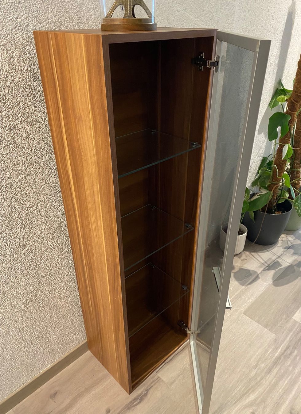 Vetrine: Vitrine Sammlervitrine Hängevitrine Glasvitrine Wandvitrine – Usato da Dottikon venduto da 6571 3