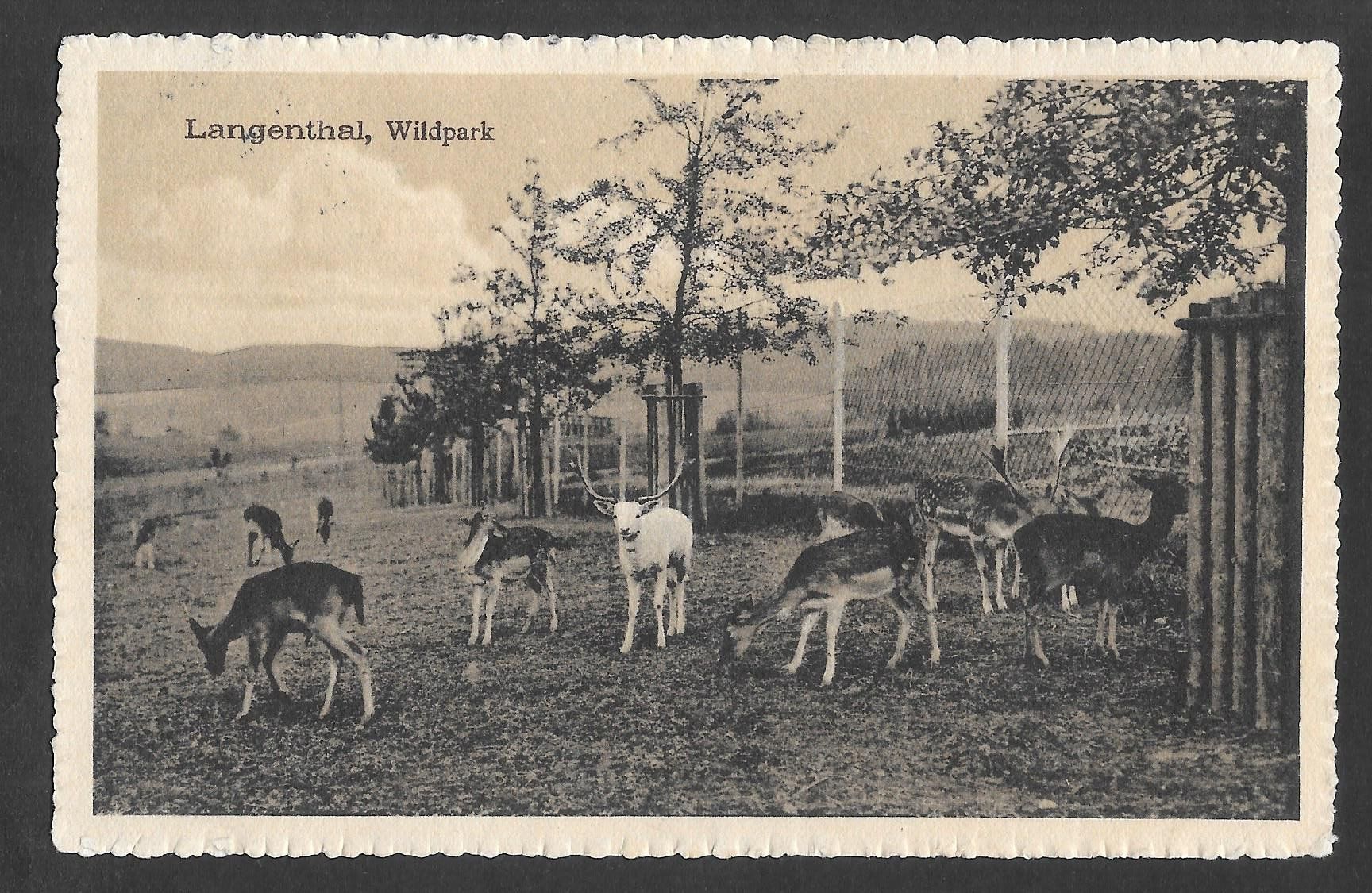 Cartoline postali: Langenthal Wildpark – Usato da Olten venduto da clotaldi
