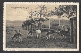 Langenthal Wildpark