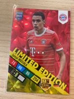Panini FIFA 365 Adrenalyn XL 2023 Jamal Musiala Limited