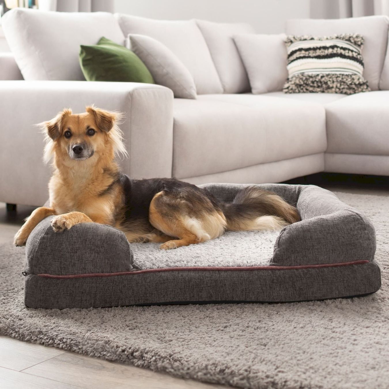 Cucce & Letti: Petstuff Hundebett L dunkelgrau – Nuovo e nell'imballaggio originale da Bottighofen venduto da zaap 1