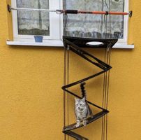 Falt - Katzenleiter