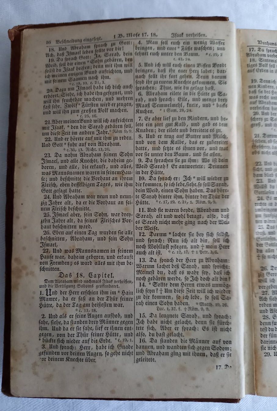 Bücher: Die Bibel - 1849 – Gebraucht aus Binningen von mar_2jlr 6
