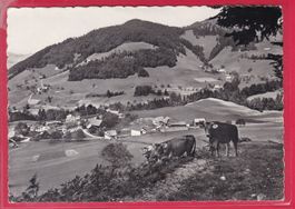 WALD, RESTAURANT KANTONSGRENZE OBERHOLZ, 8.9.1966
