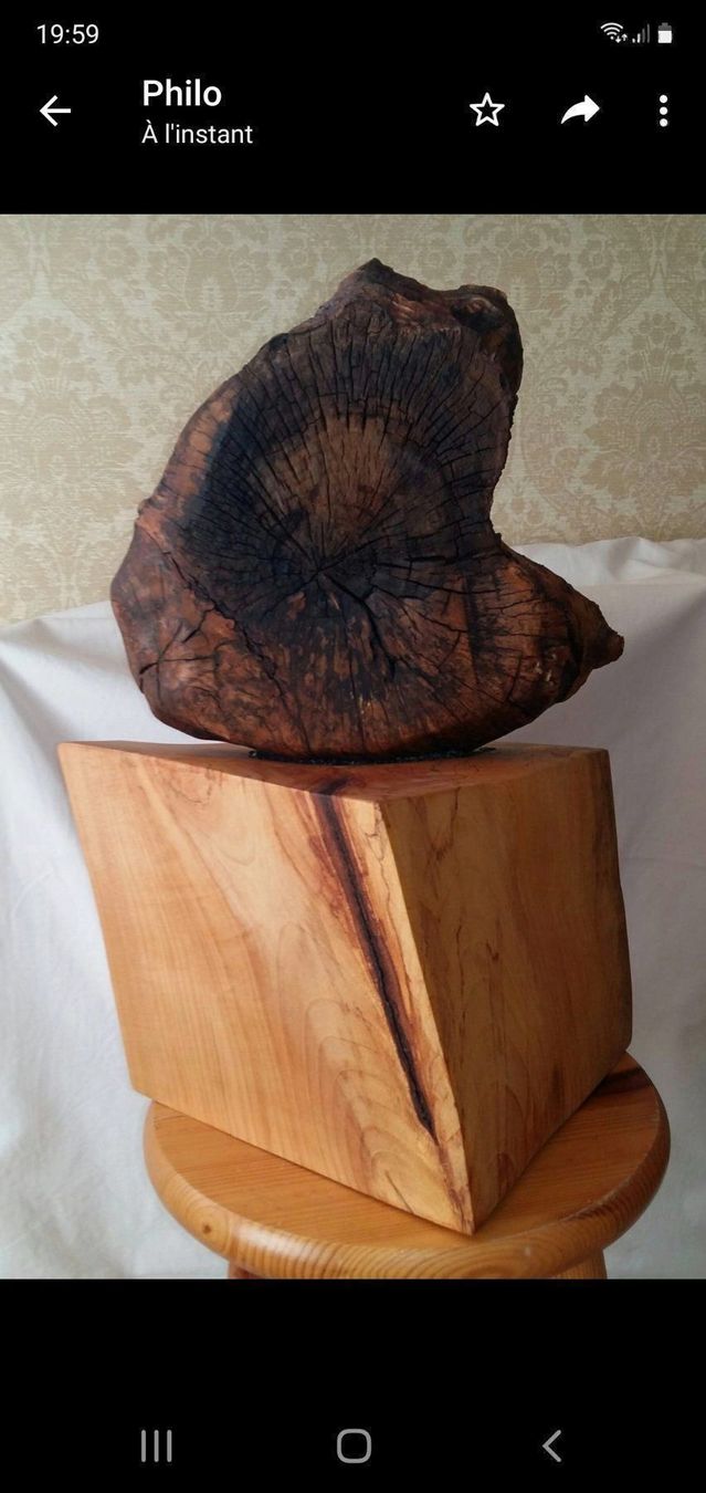 Articoli in legno: Pièce massive, sculpture Ph. Blanchet – Nuovo e nell'imballaggio originale da DUGNY (-Leytron) venduto da Rdeny 3