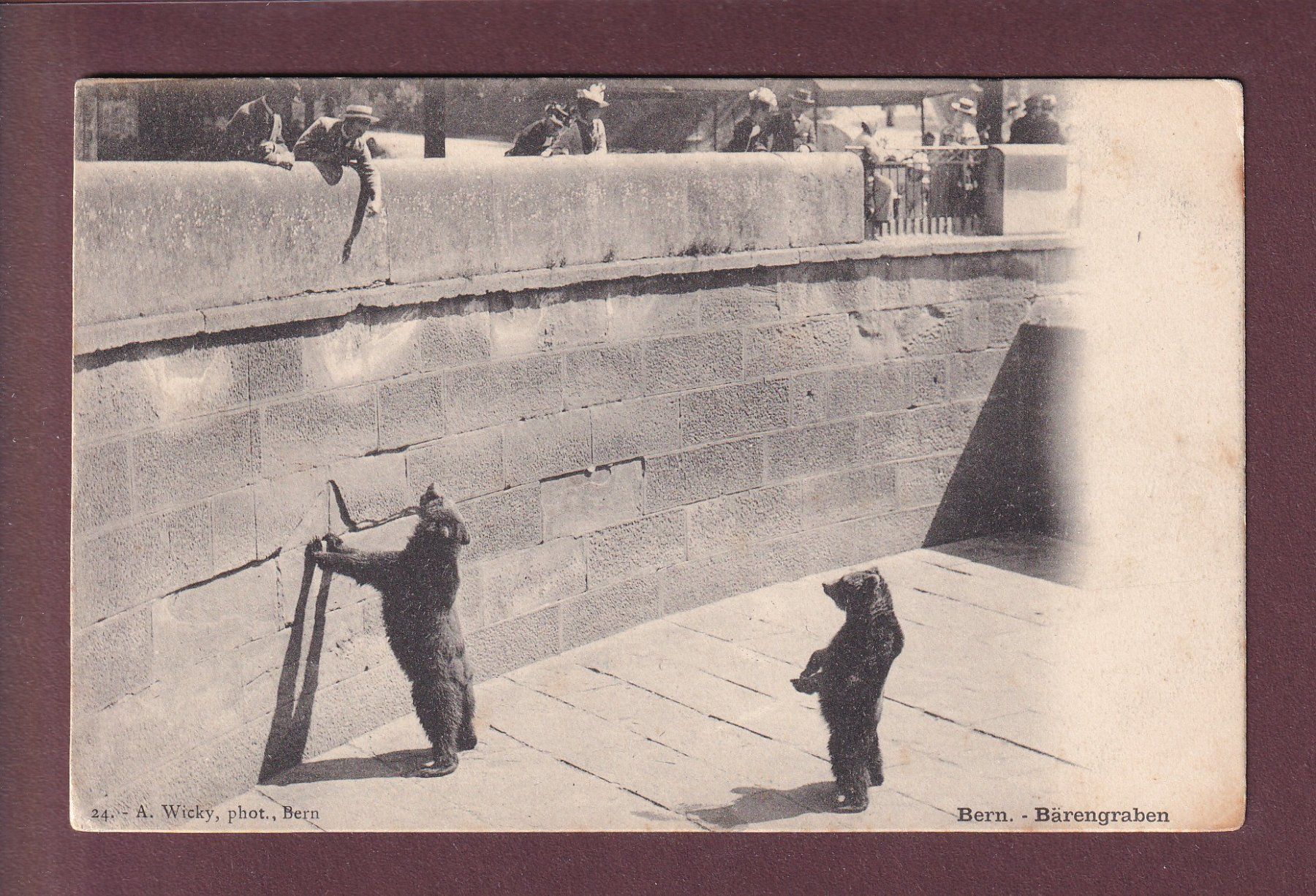 Cartes postales: BERN - Bärengraben – D'occasion à Pully par nicecards
