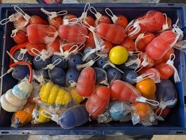 NEU 》Hundespielzeug KONGs 