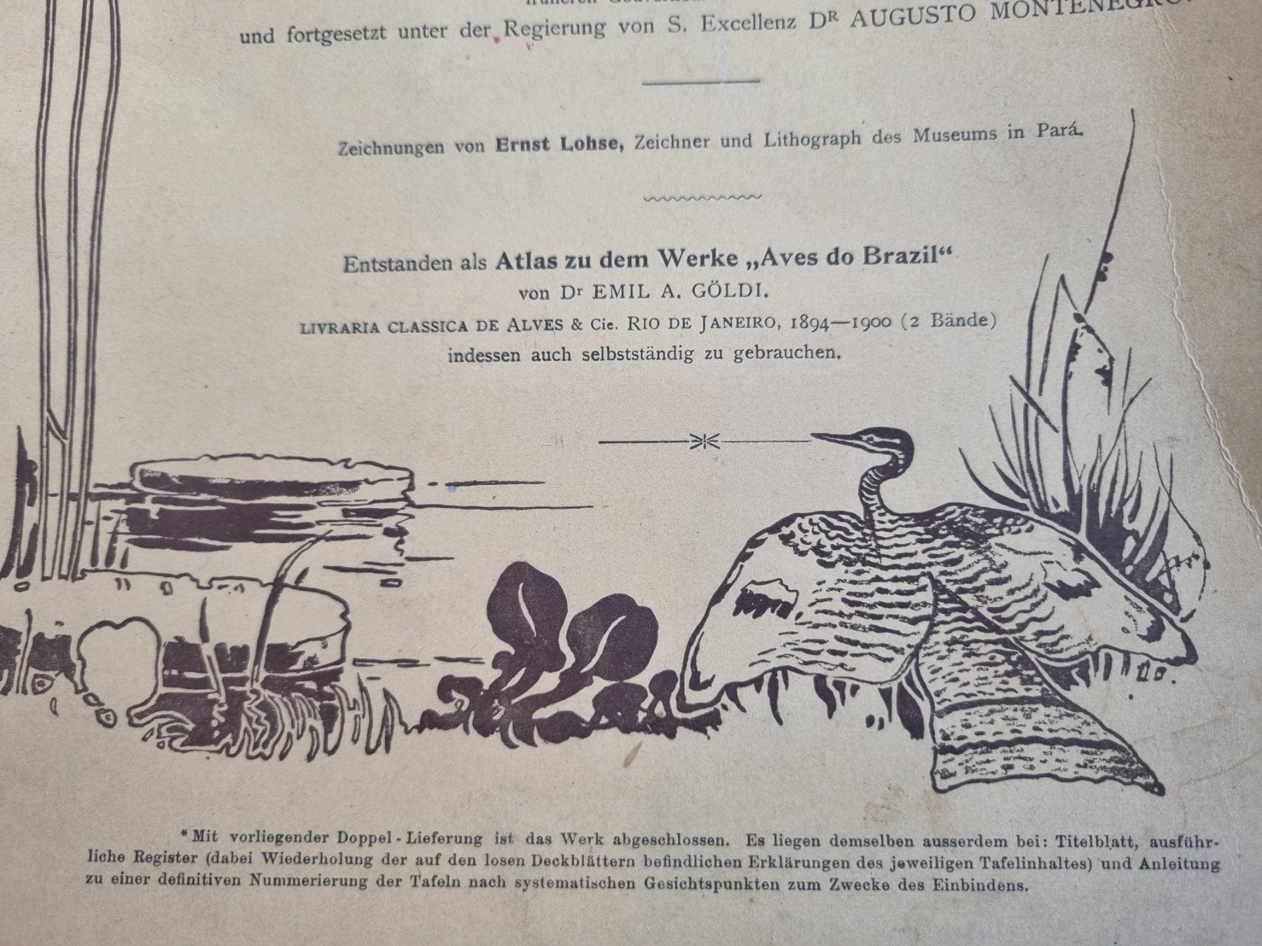 Libri: Vogelwelt des "Amazonas", Emil August Göldi, 3.Fasc.1906 – Usato da Lenzburg venduto da freedomky 2