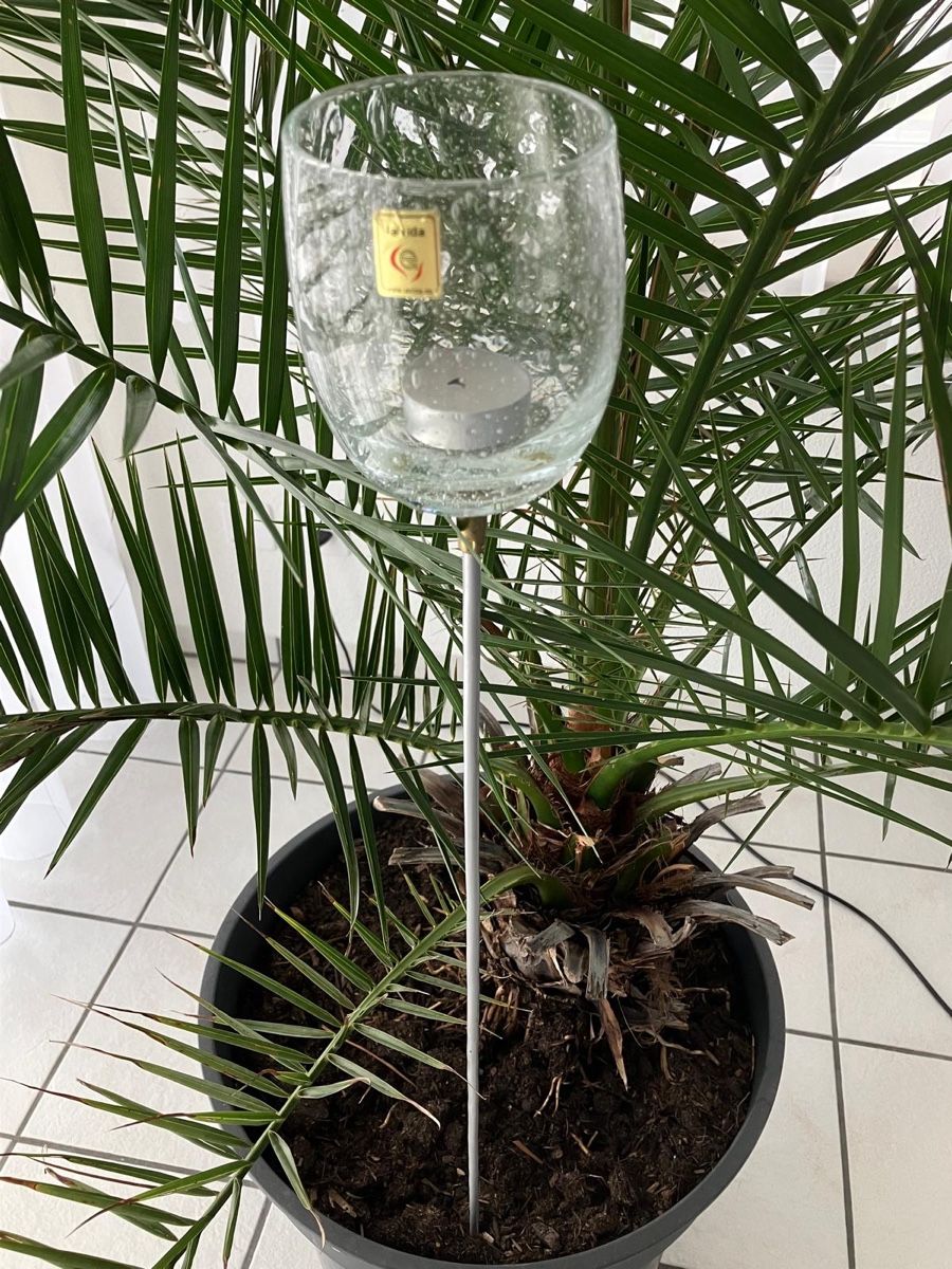 Tutte le decorazioni: Windlicht aus Glas am Stiel, Höche 90cm – Usato da Einsiedeln venduto da zue_82pm 1