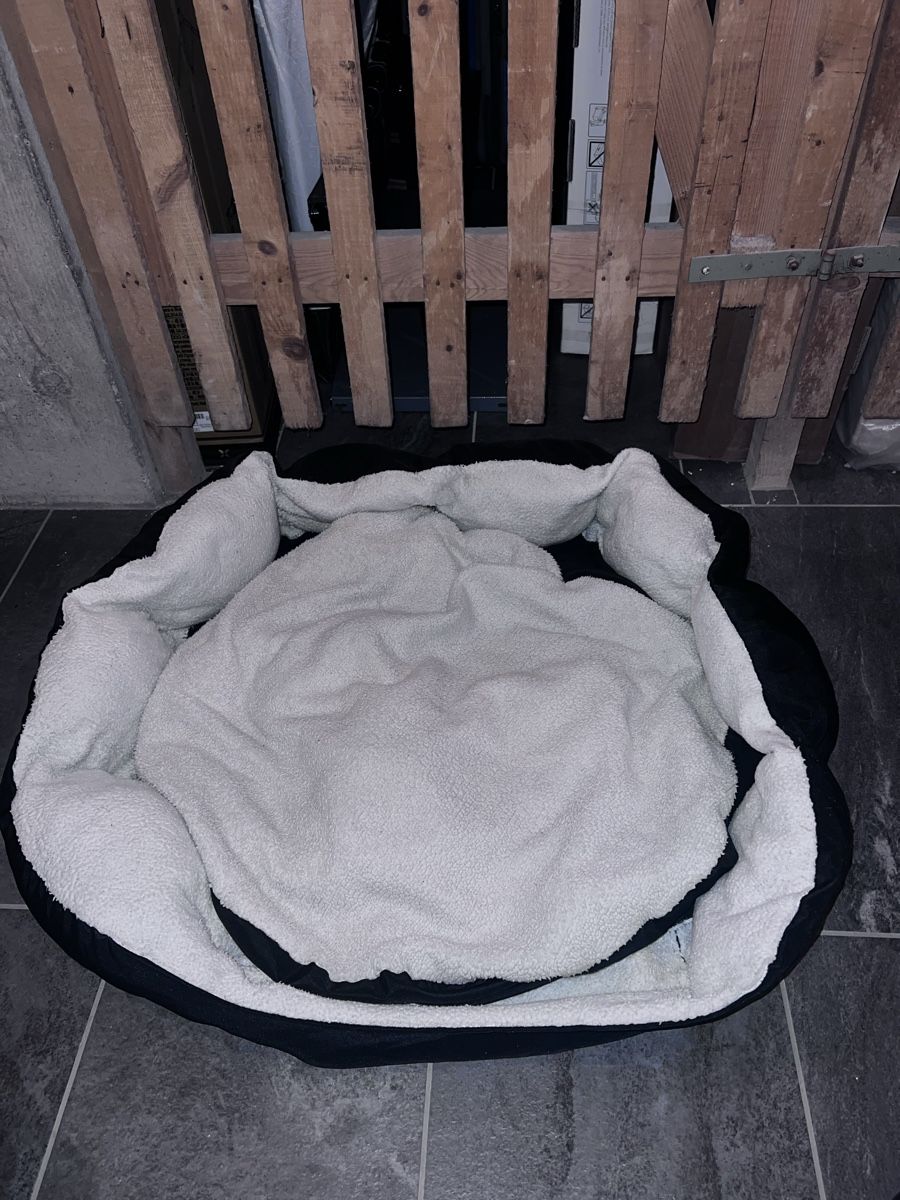 Cucce & Letti: Hundebett – Usato da Luzern venduto da vivientth