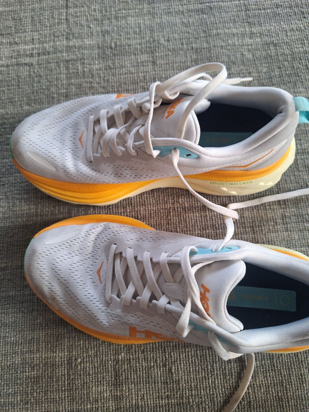 Hoka One One Herrenschuhe: Laufschuhe Hoka  – Gebraucht aus Luzern von j.p