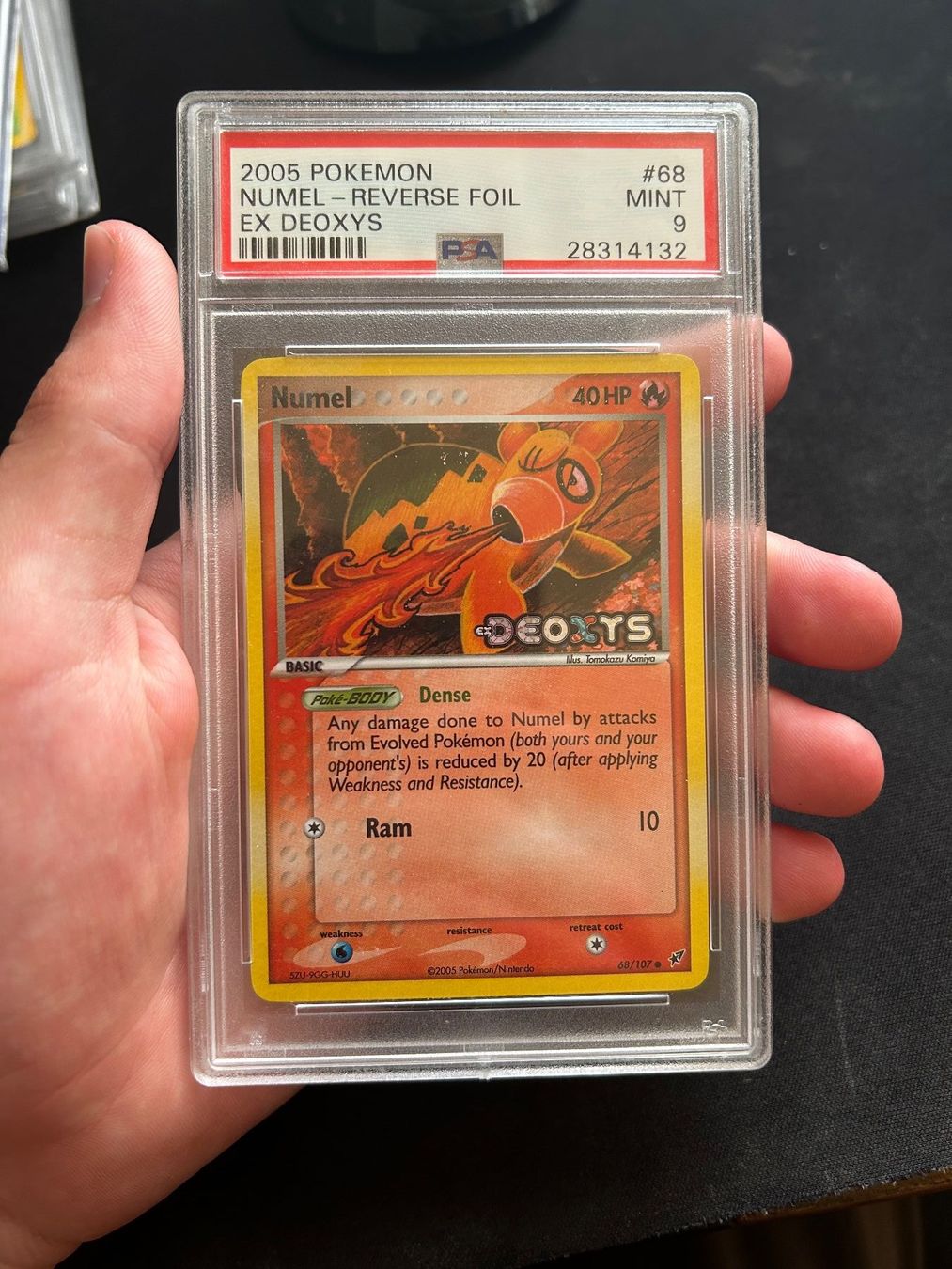 Pokémon Carte collezionabili: PSA 9 - Numel Reverse Foil - Ex deoxys ENGLISH – Usato da Büsserach venduto da Cyr-cyr