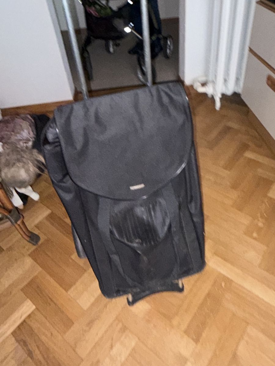 Altro per la casa: Guter Einkaufstrolley – Usato da Basel venduto da funkysteff 1