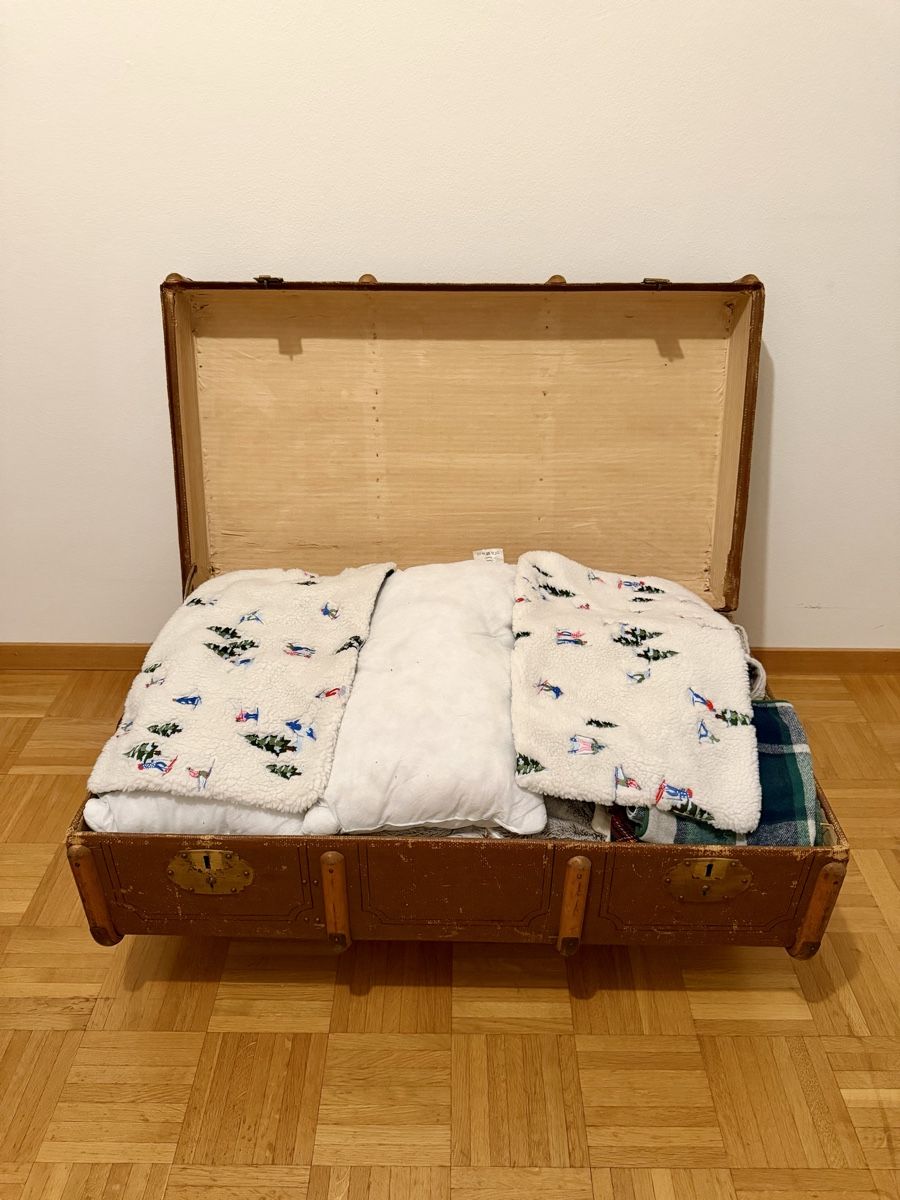 Tische: Couchtisch Vintage / Antiker Reisekoffer – Gebraucht aus Luzern von NRJenergy 3