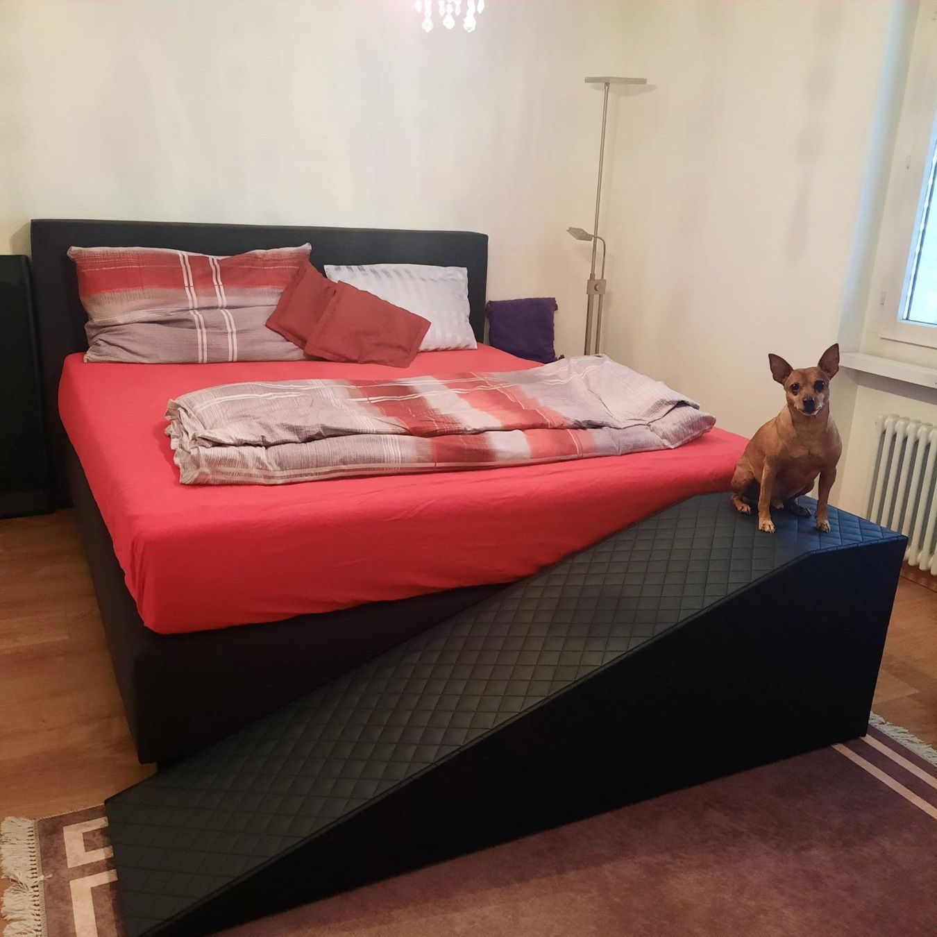 rote bete aufbewahren Küchen main image 0