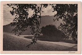 Schiers - Montagna (Mischol), gelaufen 1924