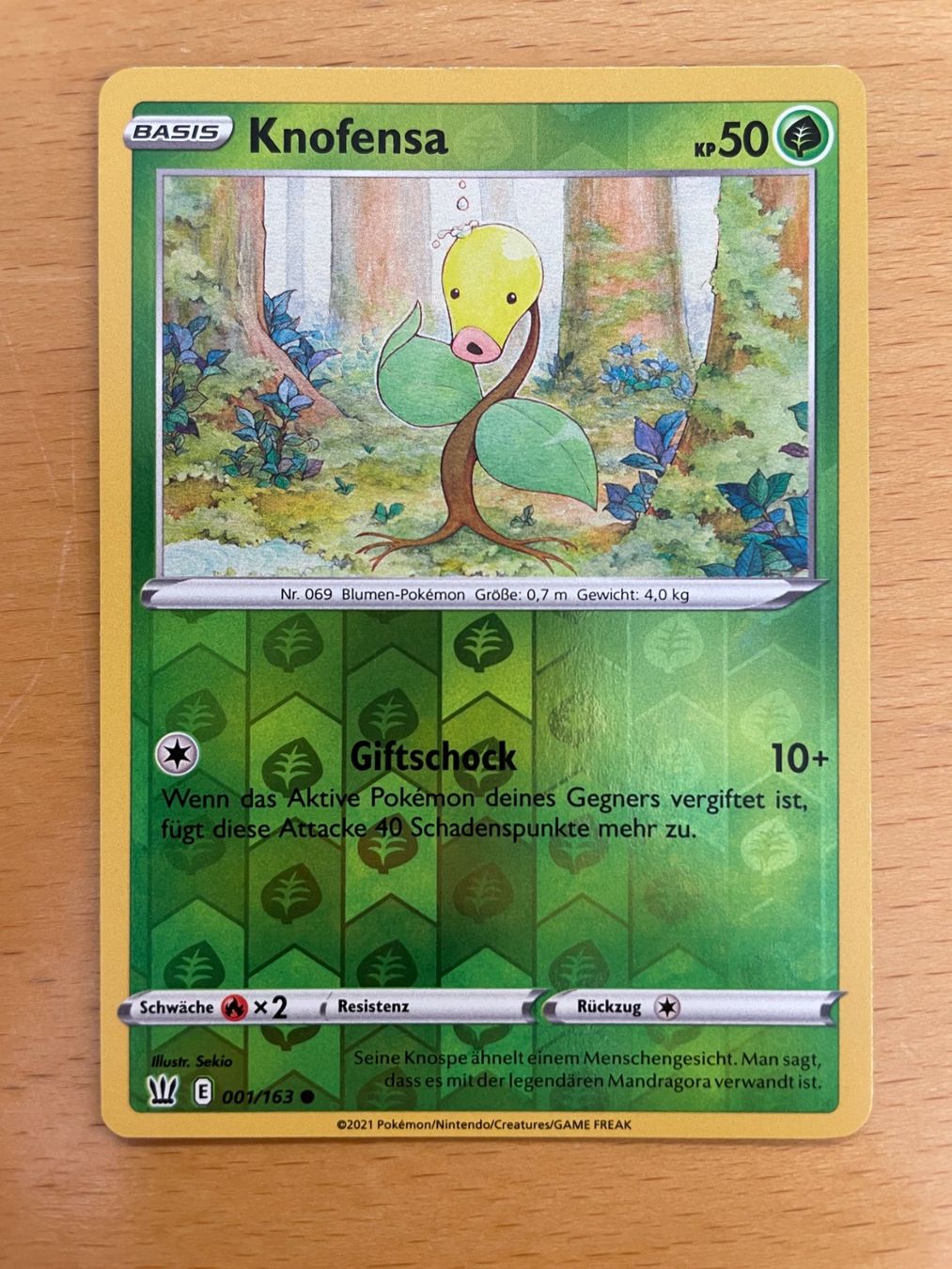 Pokémon Carte collezionabili: Pokemon Knofensa Reverse (Versand gratis) – Nuovo (secondo la descrizione) da Chur venduto da Angerson