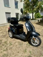 Teutoburg Detmold SPC Elektromobil 20 km/h – nur 1’124 km – 