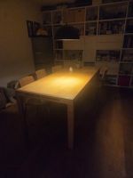 Esstisch Holz hell rechteckig ausziehbar gebraucht