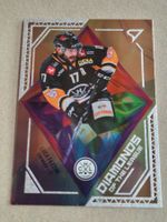 Sportzoo Diamonds of the League Fazzini  Lugano