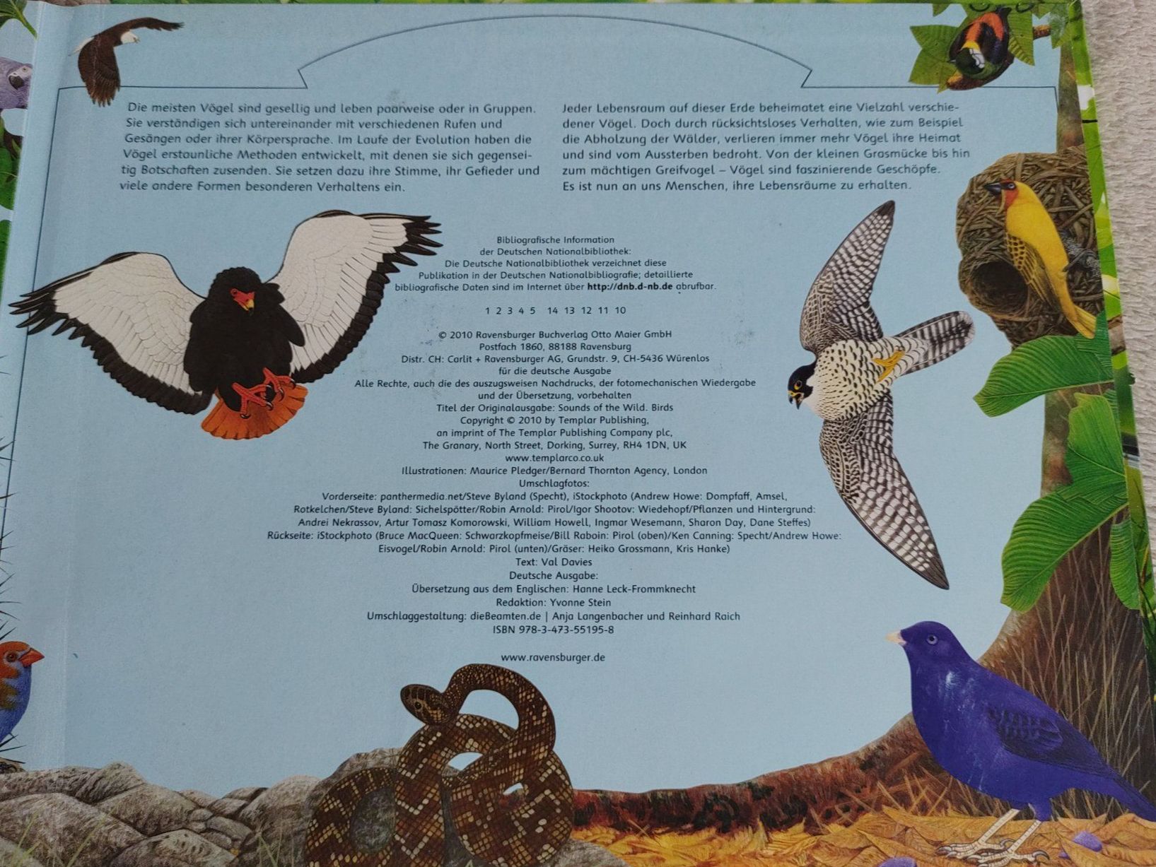 Libri: Buch Zauberklang der Vögel – Usato da Strengelbach venduto da Phorensic_30 6