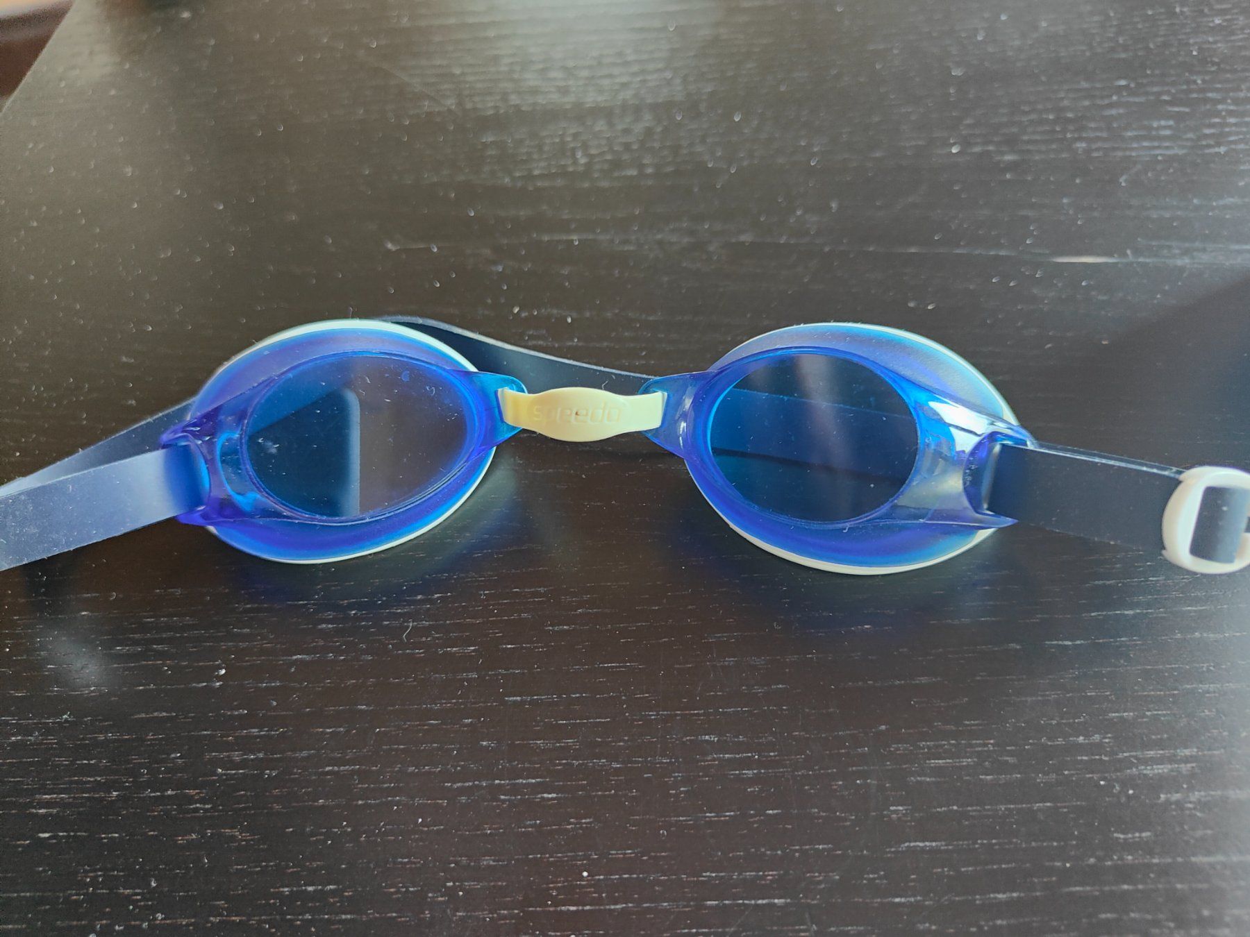 Speedo Occhiali & Lenti: Schwimmbrille Speedo – Usato da Adelboden venduto da nel_j2jg