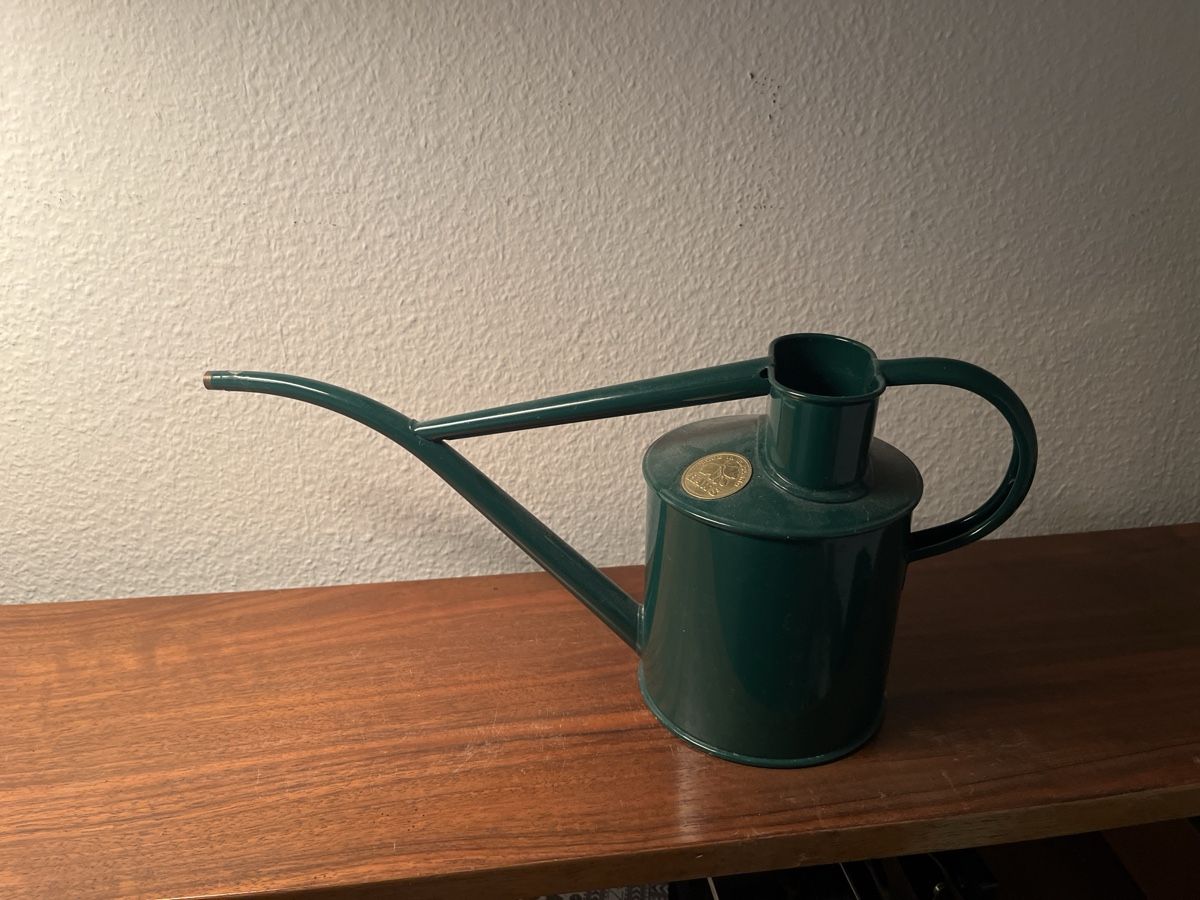 Humidifier & Arroser: HAWS Giesskanne – D'occasion à Niederurnen par gebrauchtbrauchbar