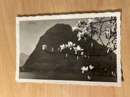 Alte Vintage Fotokarte Lugano, Schweiz, Jahr 1932 Selten!
