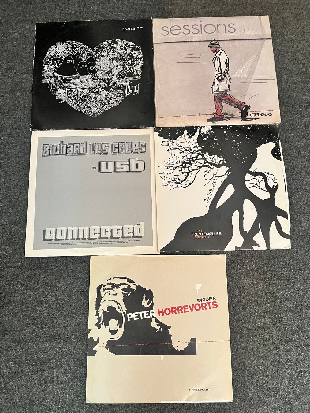 Dischi in vinile: 10x VINYL LP HOUSE/TECHHOUSE/ DEEPHOUSE/ MINIMAL/TECHNO – Usato da Winterthur venduto da mrw.audioplus 1