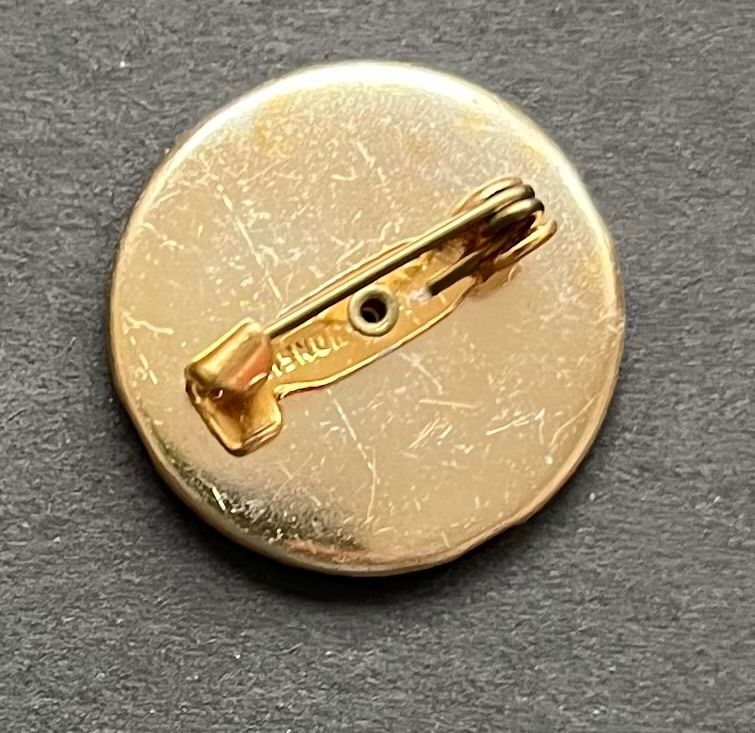 Disney Placchette & Badge: Disney Pluto Anstecker, Vintage – Usato da Wabern venduto da DaxKarten-75 1